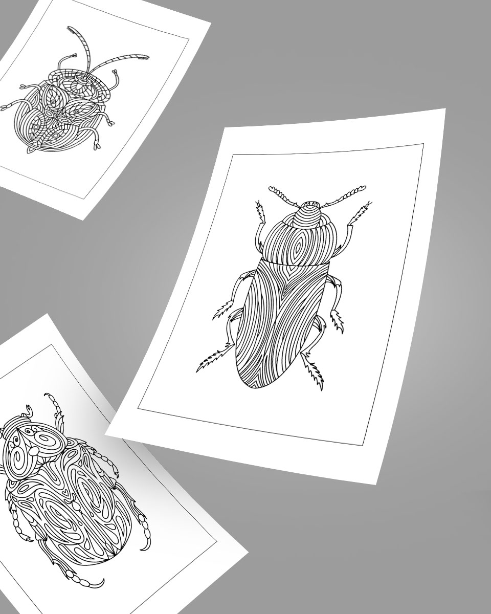 Free 3 Insect Colouring Pages For Kids