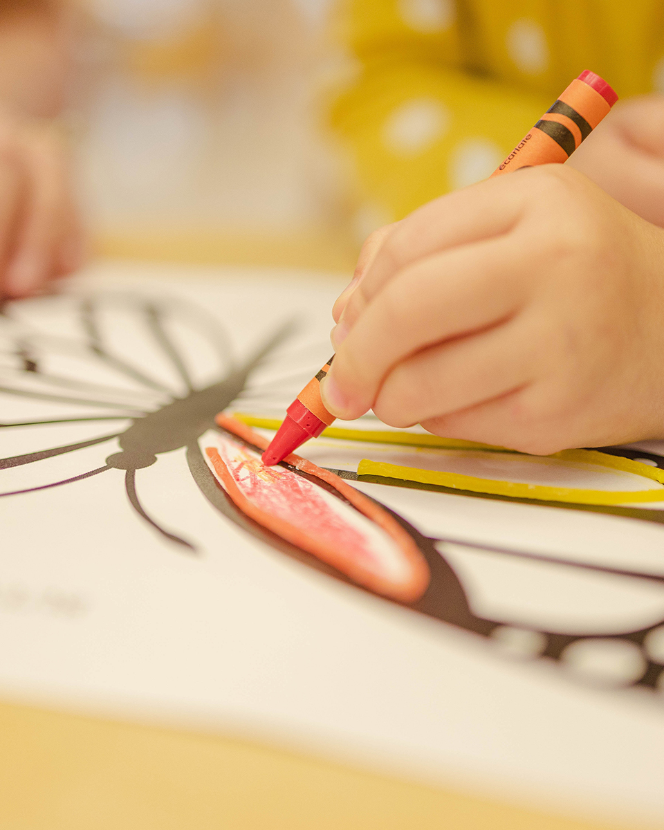 Exploring Nature: Colouring and Writing About&nbsp;Animals