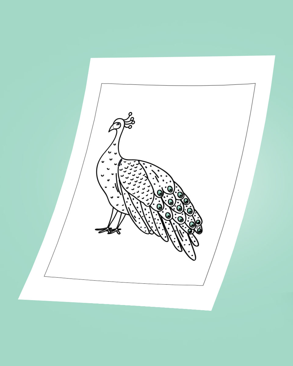 Free 3 Peacock Colouring Pages For Kids