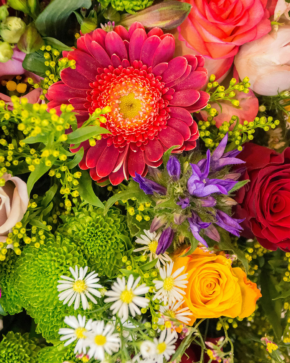 Learning Flowers (Free Common Flowers Chart) – in English, Hindi, Marathi, Gujarati, Bengali, Tamil, Malayalam, and Kannada